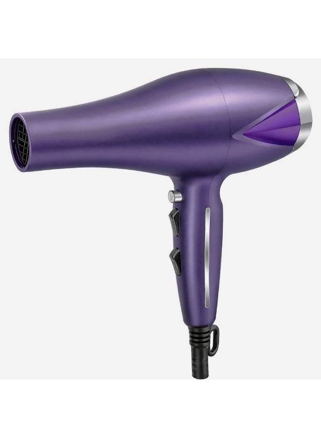 silver chest Professional Salon Hair Dryer | Heavy Duty Motor | Fast Drying & Styling | 1.5 Meter Power Cord | Includes Concentrator Nozzle - Image 3